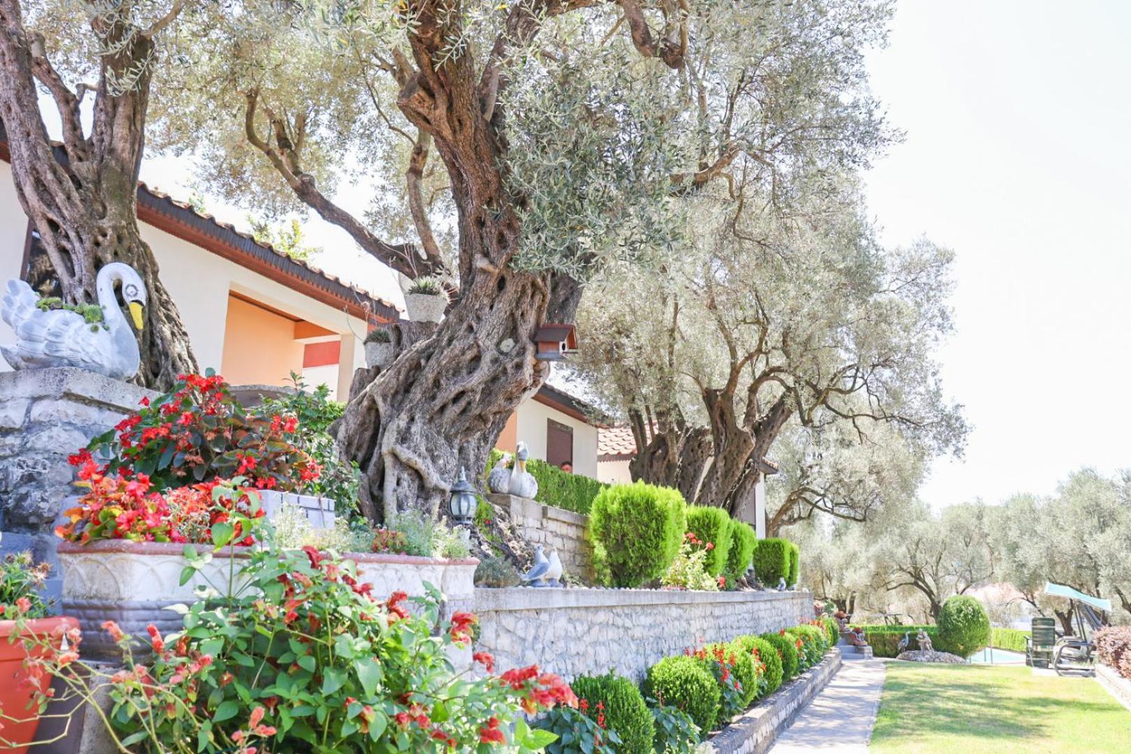 Hilja'S Oliven Garden Bungalows Улцинь Екстер'єр фото