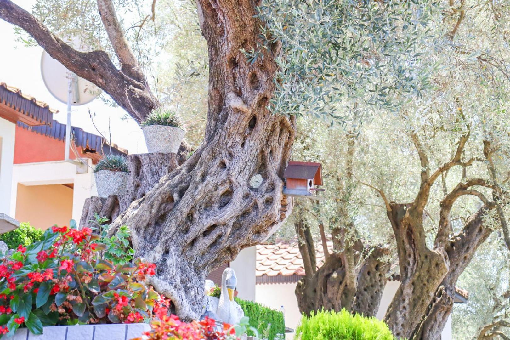 Hilja'S Oliven Garden Bungalows Улцинь Екстер'єр фото