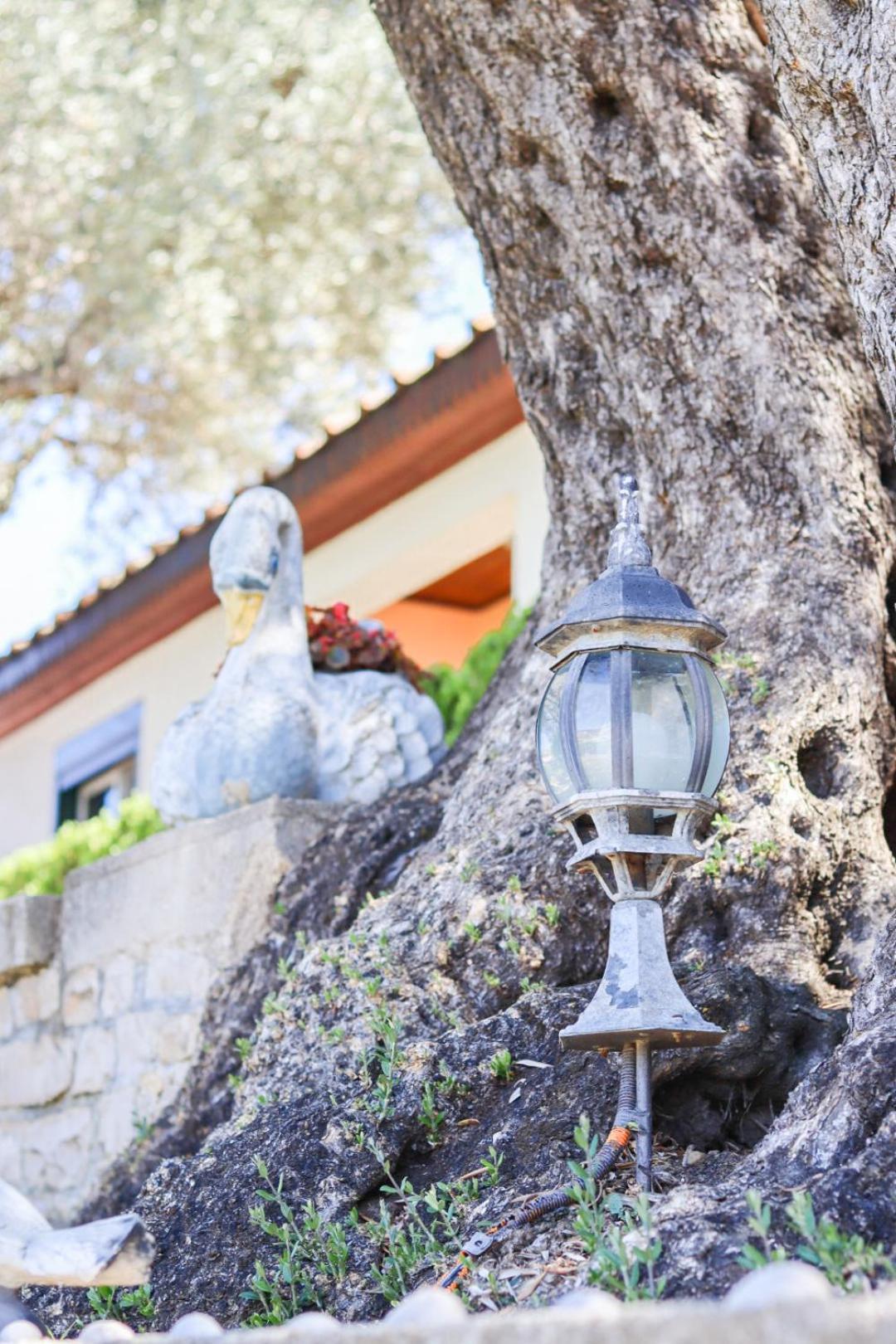 Hilja'S Oliven Garden Bungalows Улцинь Екстер'єр фото