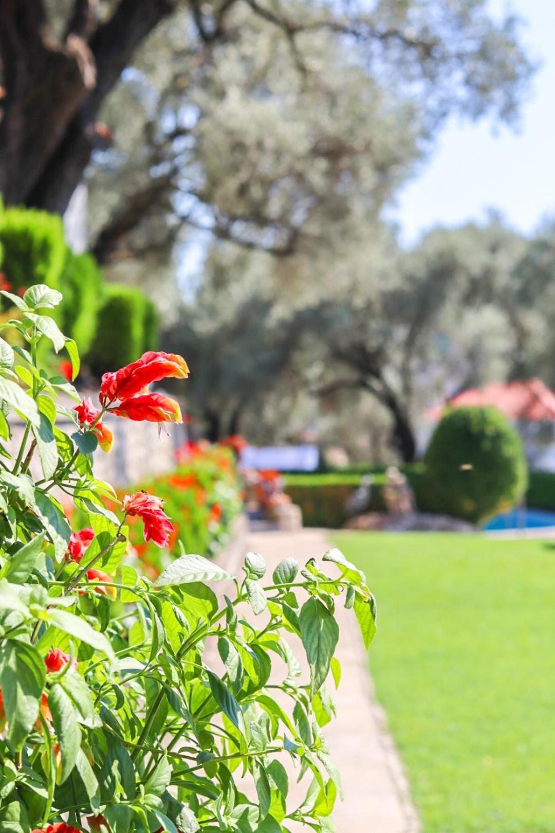Hilja'S Oliven Garden Bungalows Улцинь Екстер'єр фото