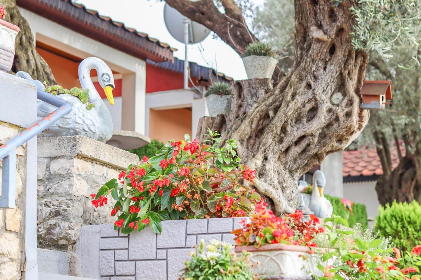 Hilja'S Oliven Garden Bungalows Улцинь Екстер'єр фото