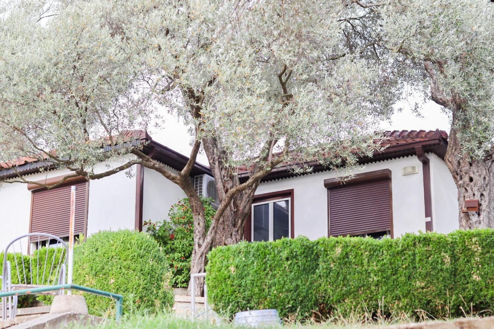 Hilja'S Oliven Garden Bungalows Улцинь Екстер'єр фото