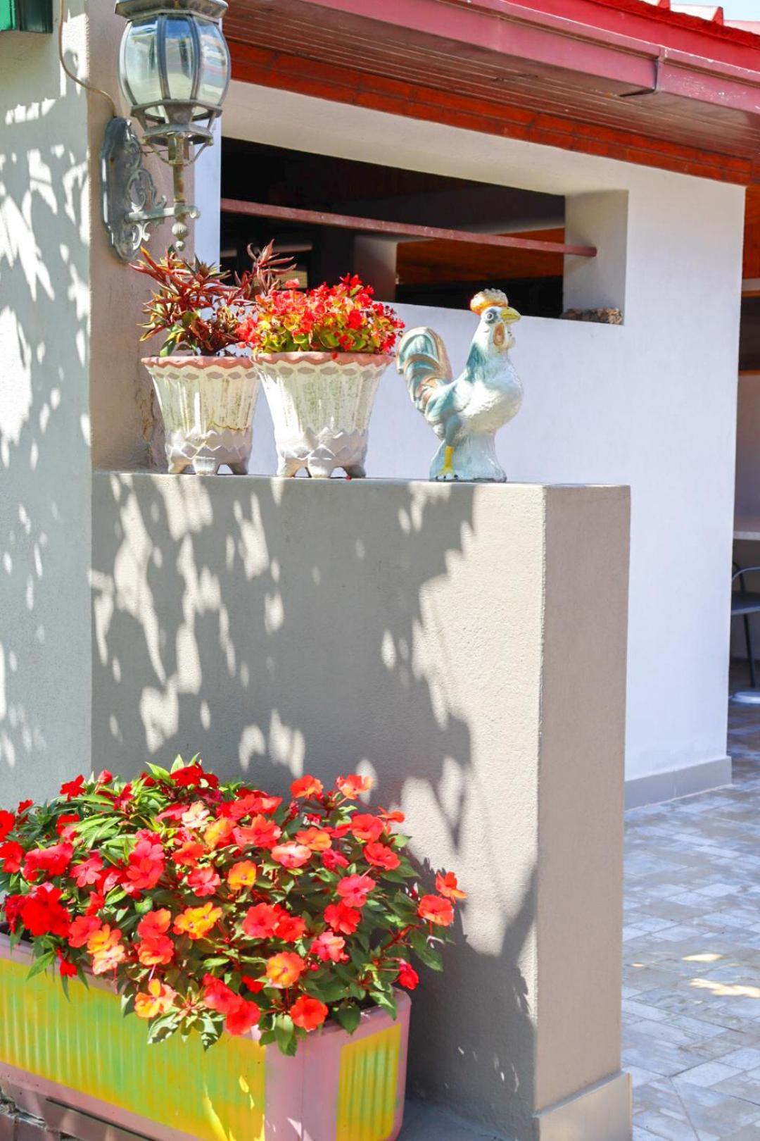 Hilja'S Oliven Garden Bungalows Улцинь Екстер'єр фото