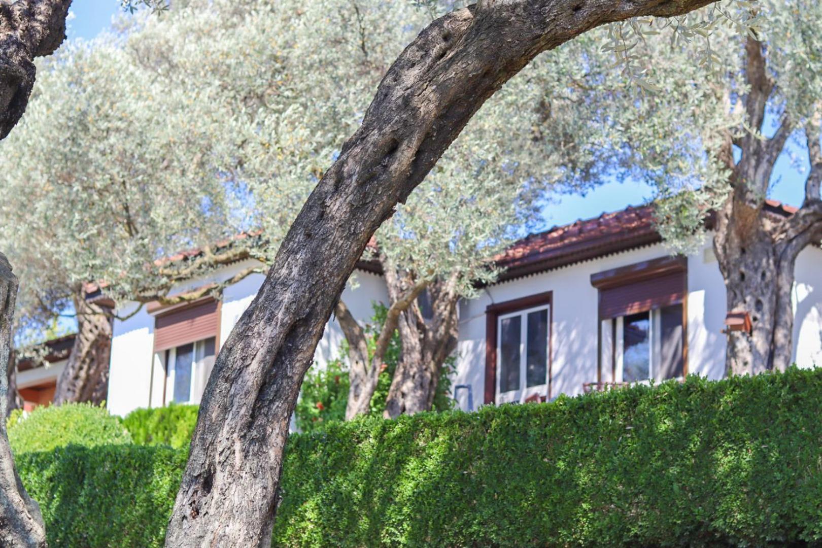 Hilja'S Oliven Garden Bungalows Улцинь Екстер'єр фото