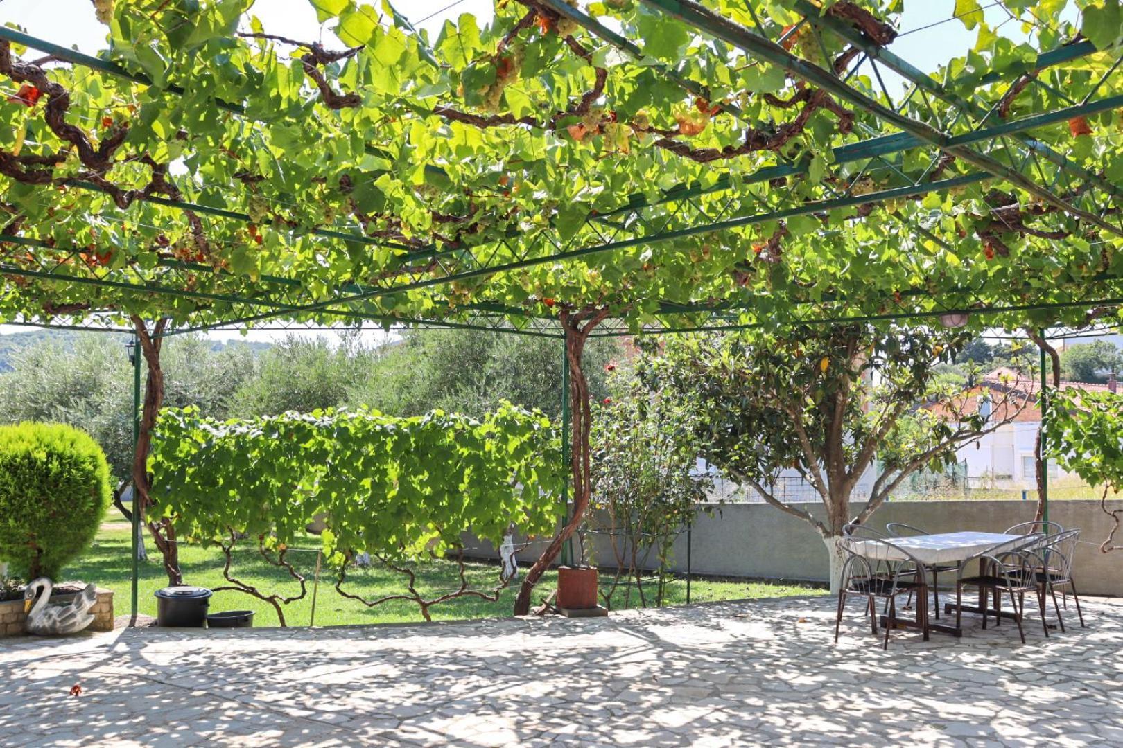 Hilja'S Oliven Garden Bungalows Улцинь Екстер'єр фото
