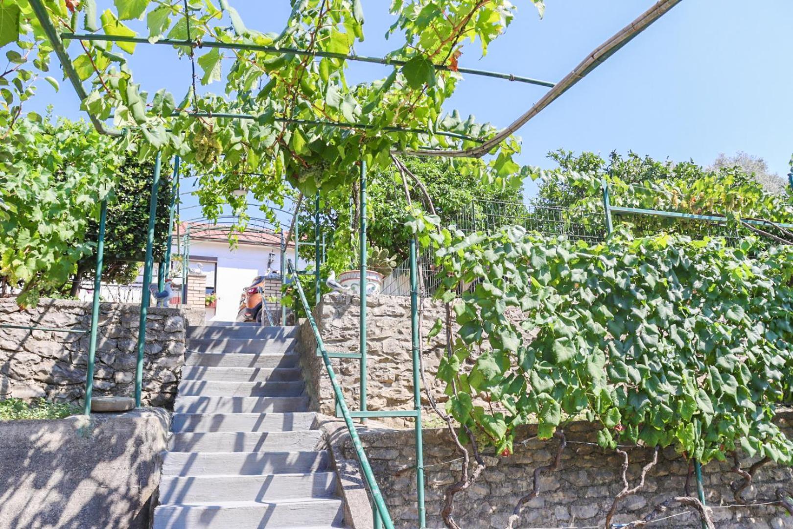 Hilja'S Oliven Garden Bungalows Улцинь Екстер'єр фото